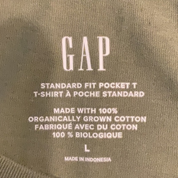GAP - Organic Cotton Pocket Tee Shirt in Desert Cactus - Picture 4 of 6